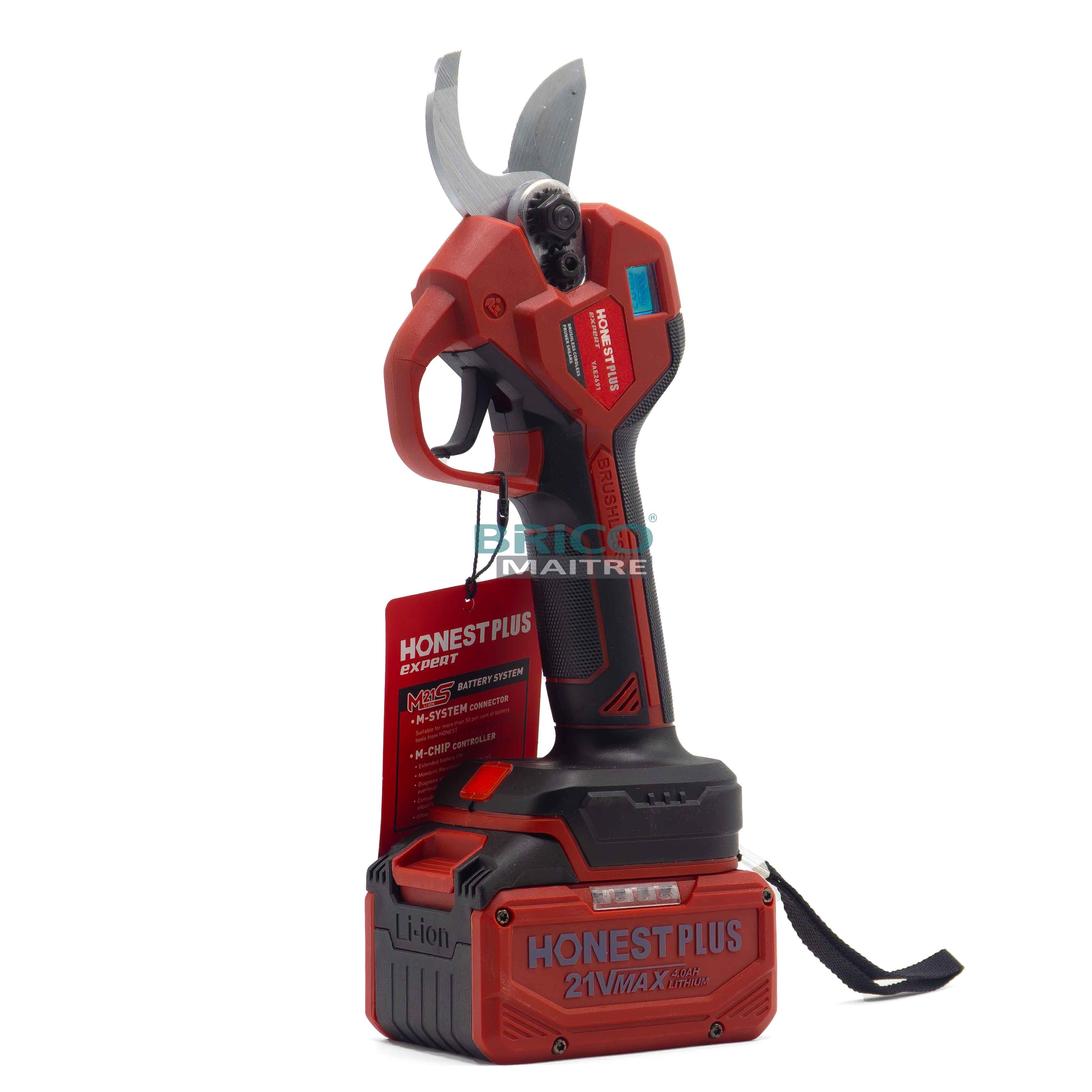 HONESTPLUS Sécateur électrique A BATTERIE 20V YAE2691